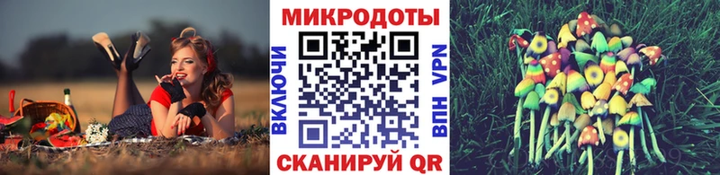 Псилоцибиновые грибы Psilocybe  Пласт 